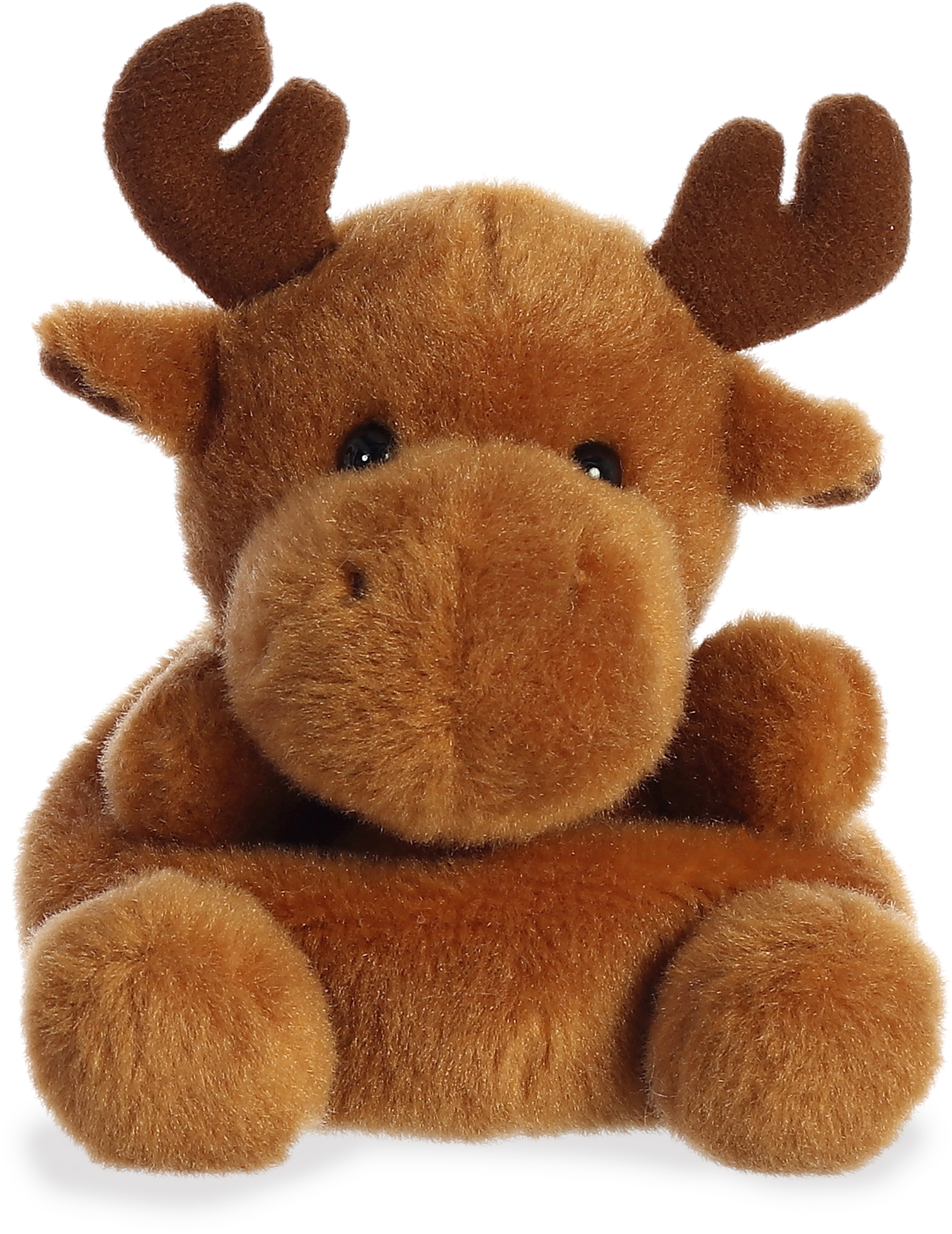 5" Cinnamon Moose 2