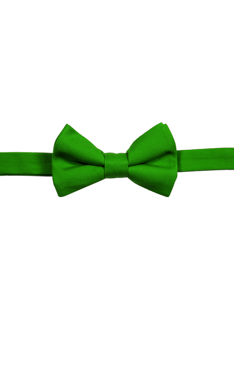Scotchgard Treated Twill Bow Tie 5
