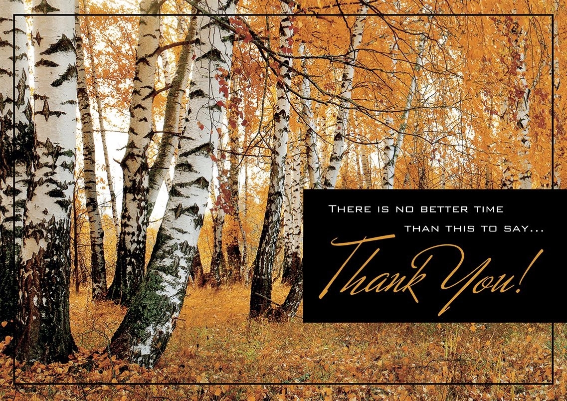Amber Appreciation Thanksgiving Cards 1