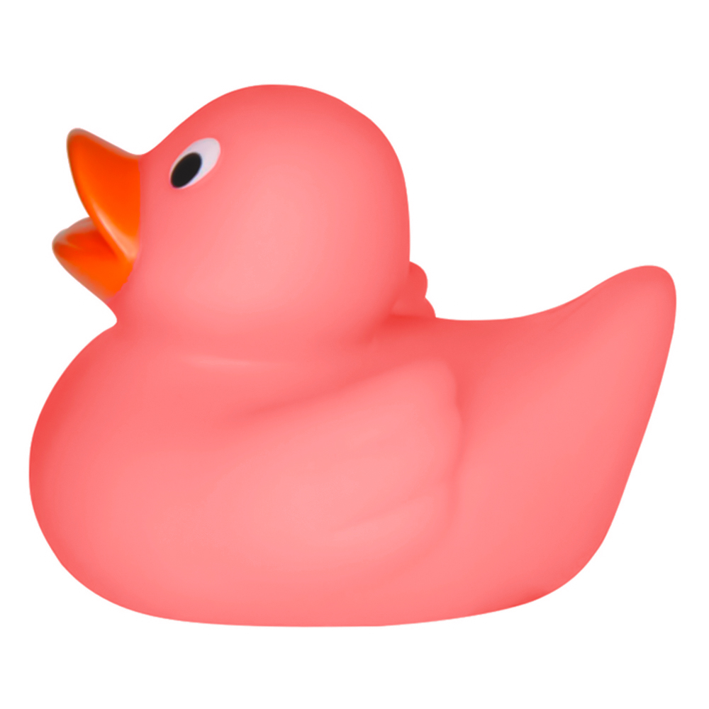 Lil' Rubber Duck 5