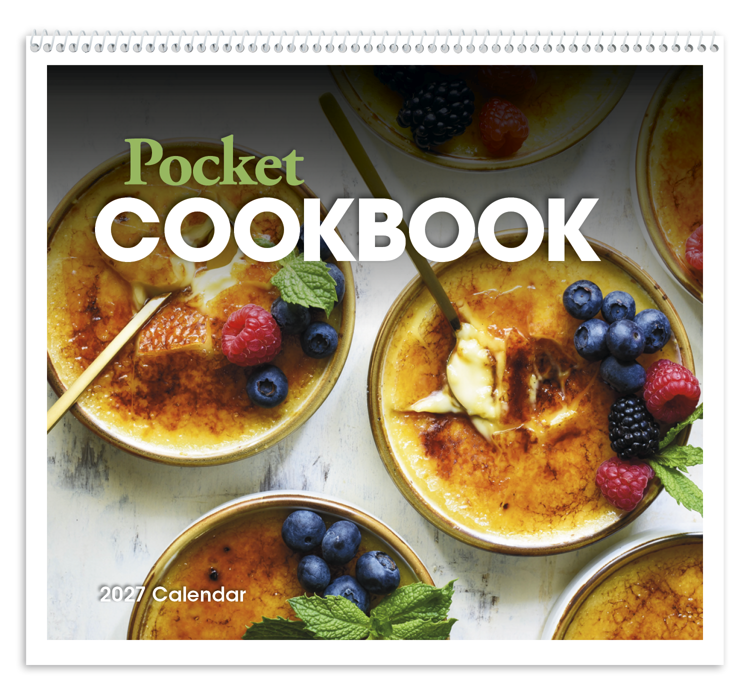 HotLine® Products Pocket Cookbook Calendar 73