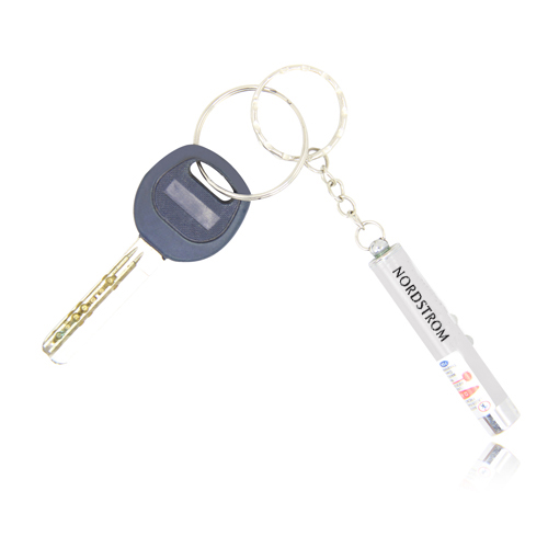 Laser Pointer Keychain With LED Flashlight 1