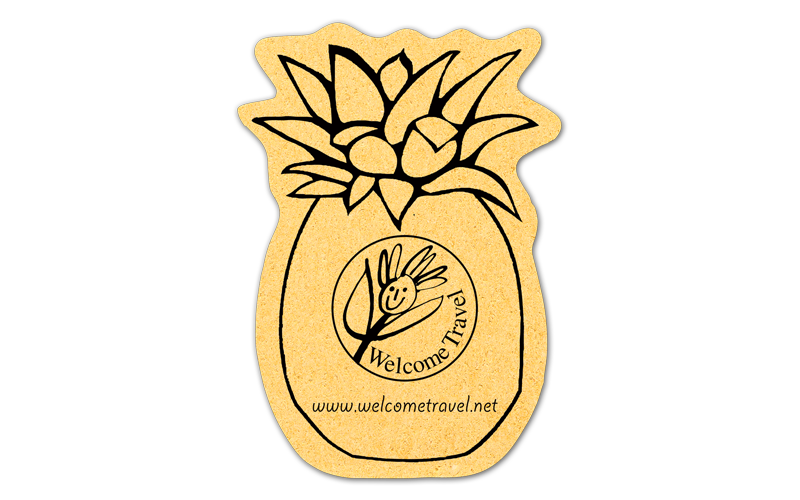 Pineapple Compressed Sponge 14
