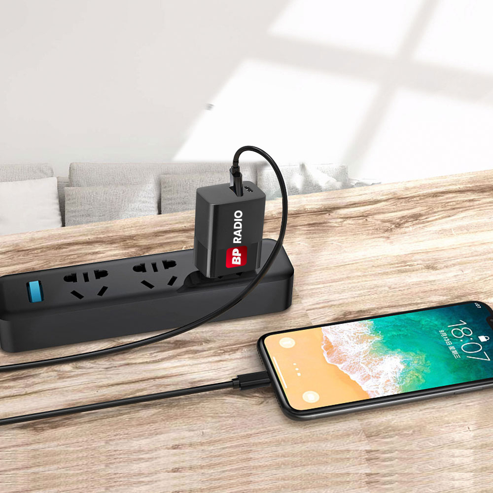 Wall Charger with Multi-Protect Technology 5