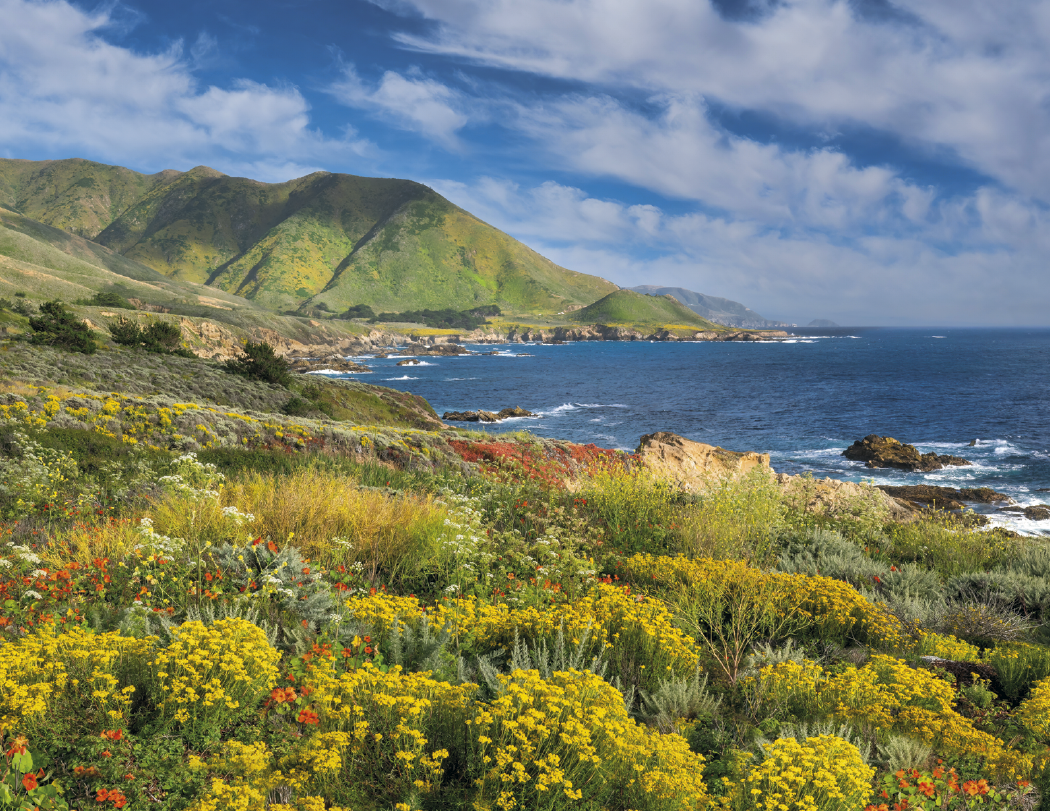 Triumph® Calendars Scenic Inspirations Calendar 4