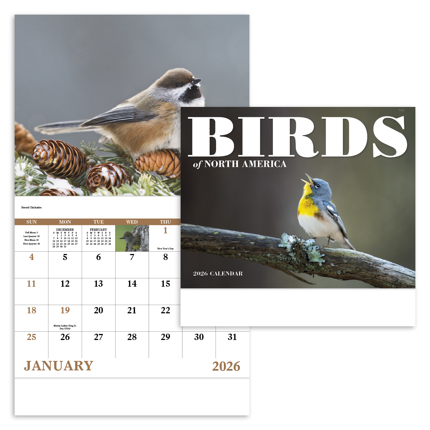 Good Value™ Birds of North America - Stapled Calendar 15
