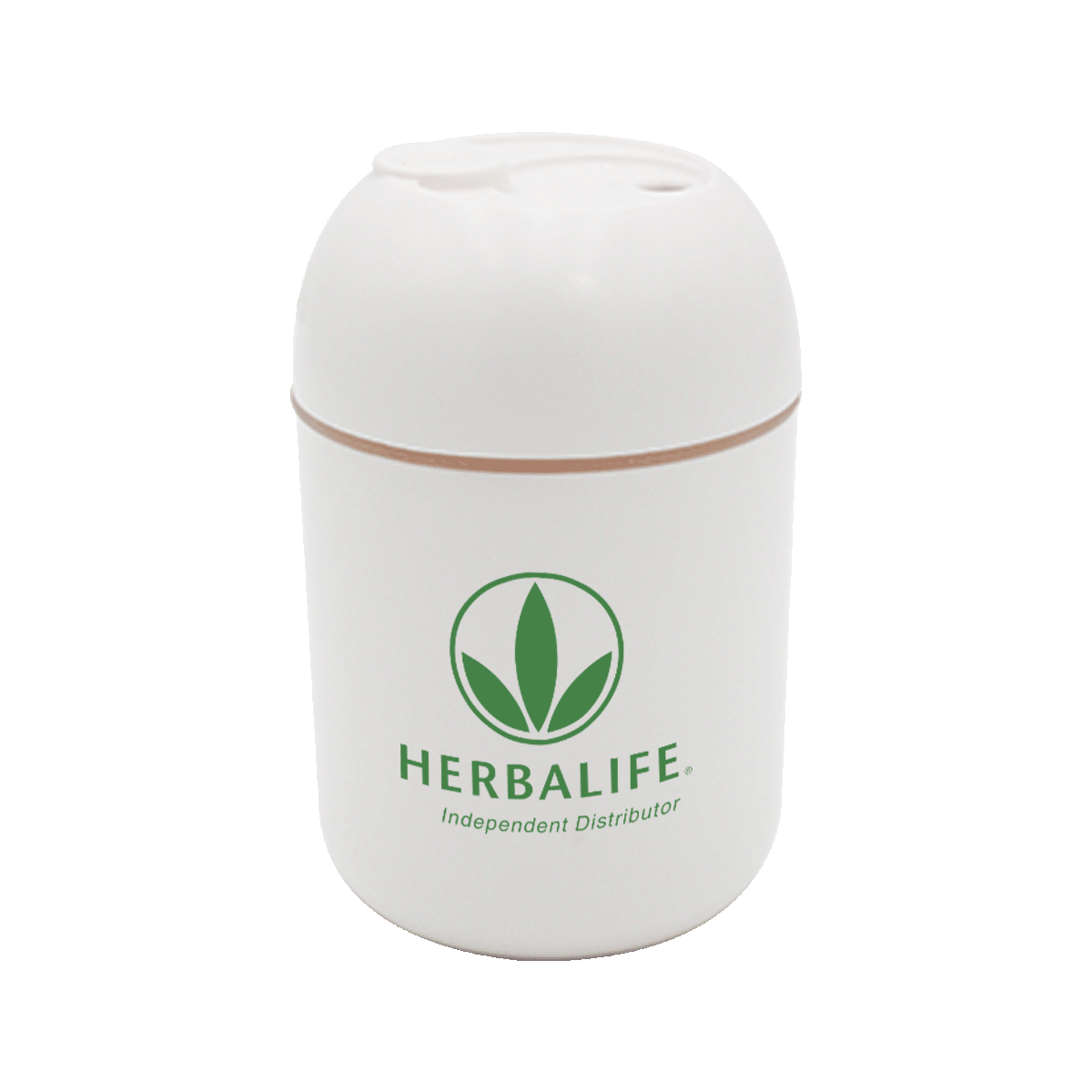 Humidifier with Essential Oil Diffuser 13