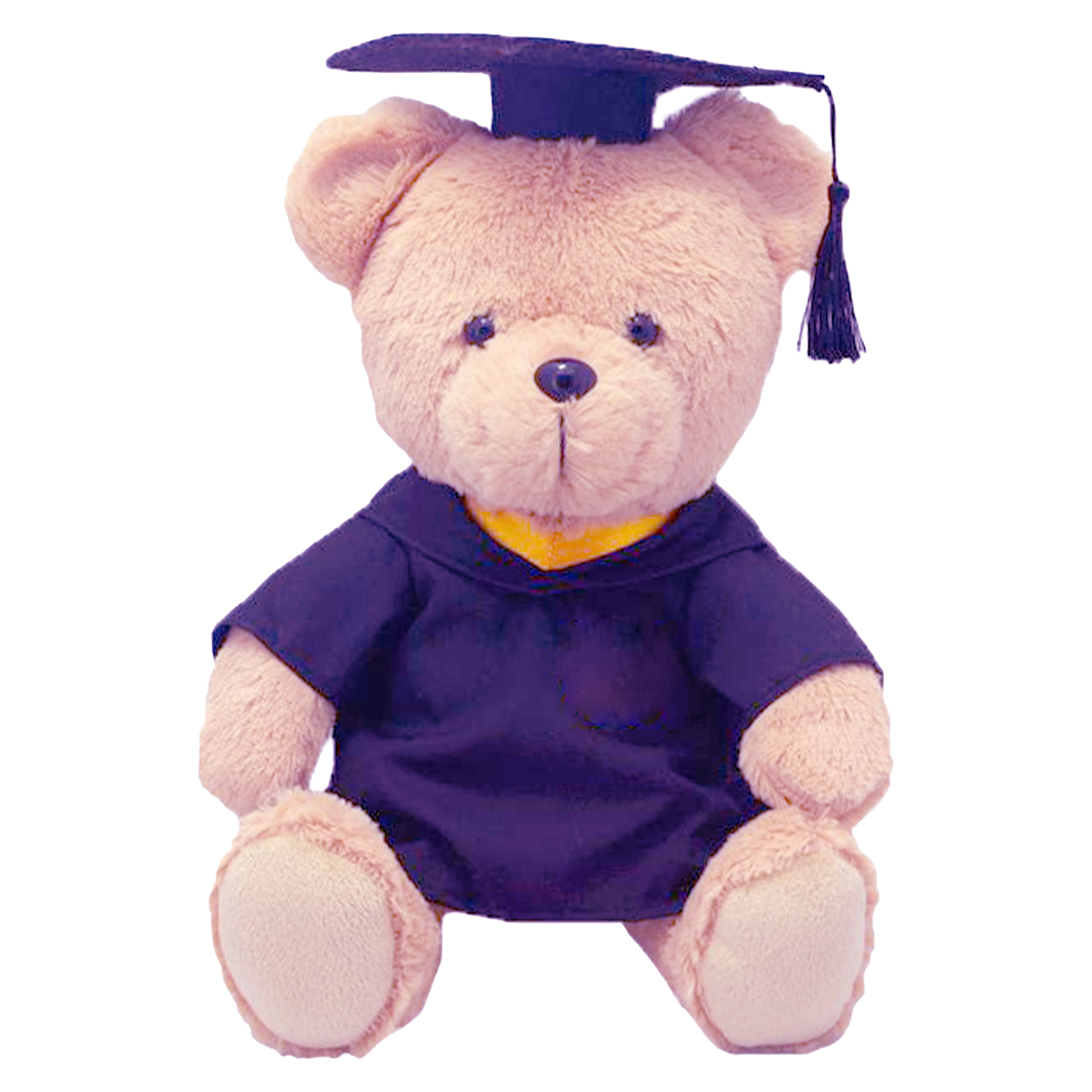 Silicone Personalized Graduation Bear 4