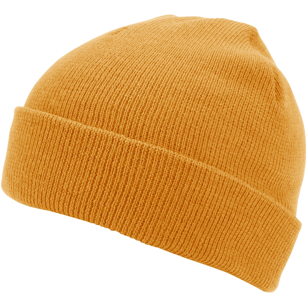 Polar Cuff Beanie 3