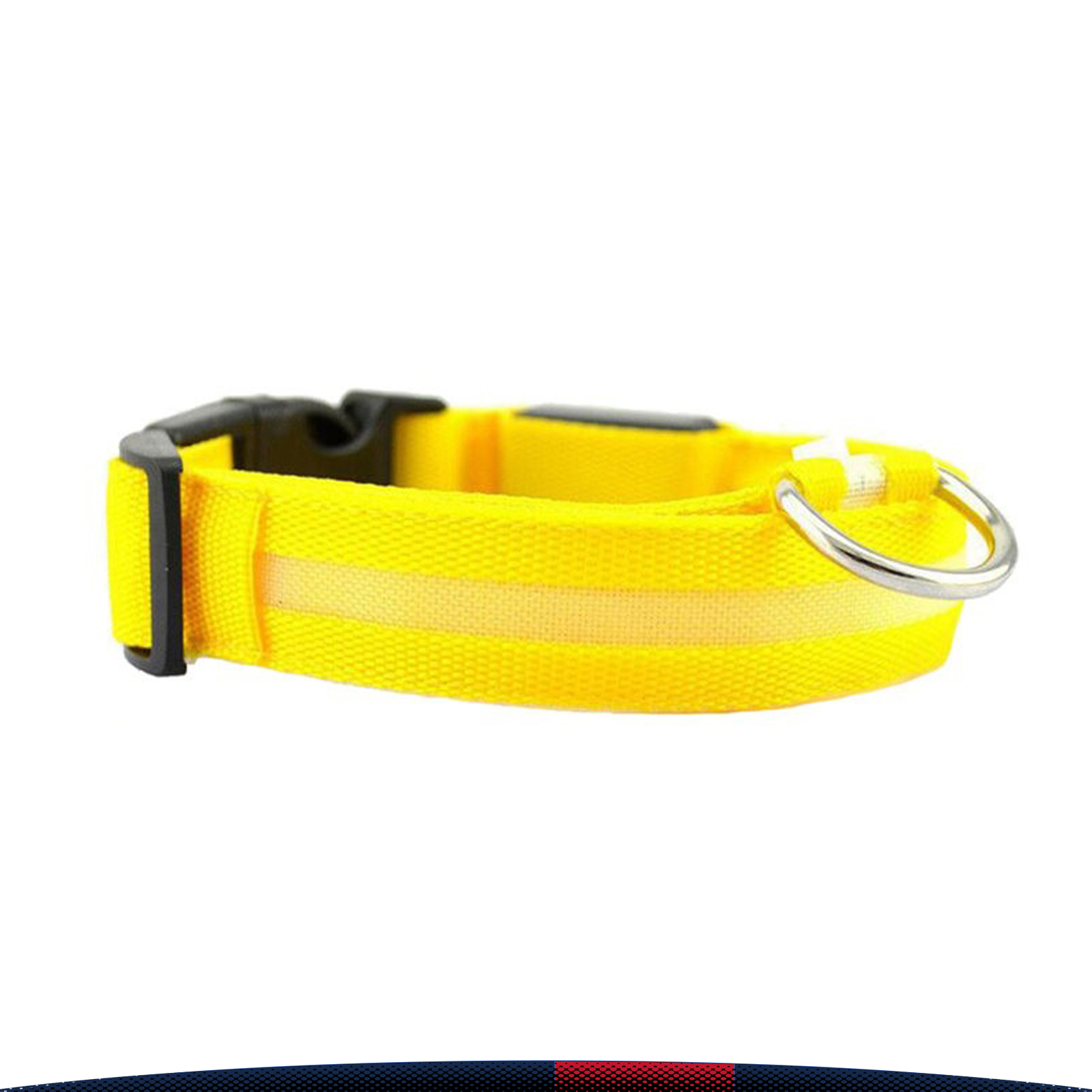 Led Dog Collar 5