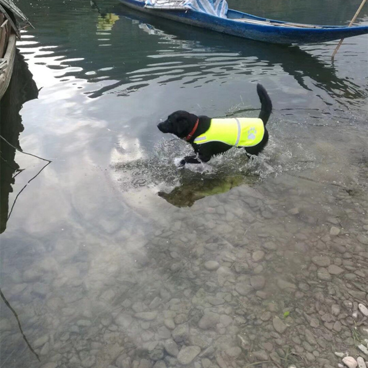 Dog Reflective Vest- M size 8
