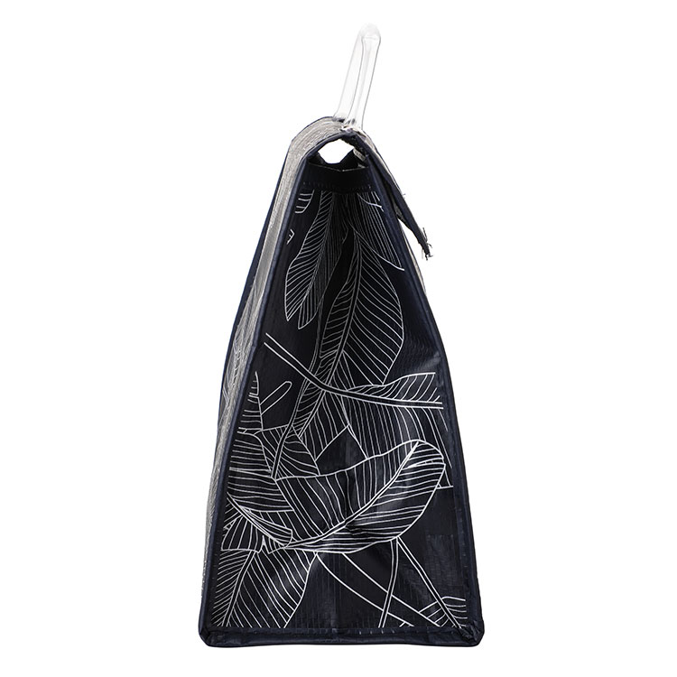 Cooler Bags 3