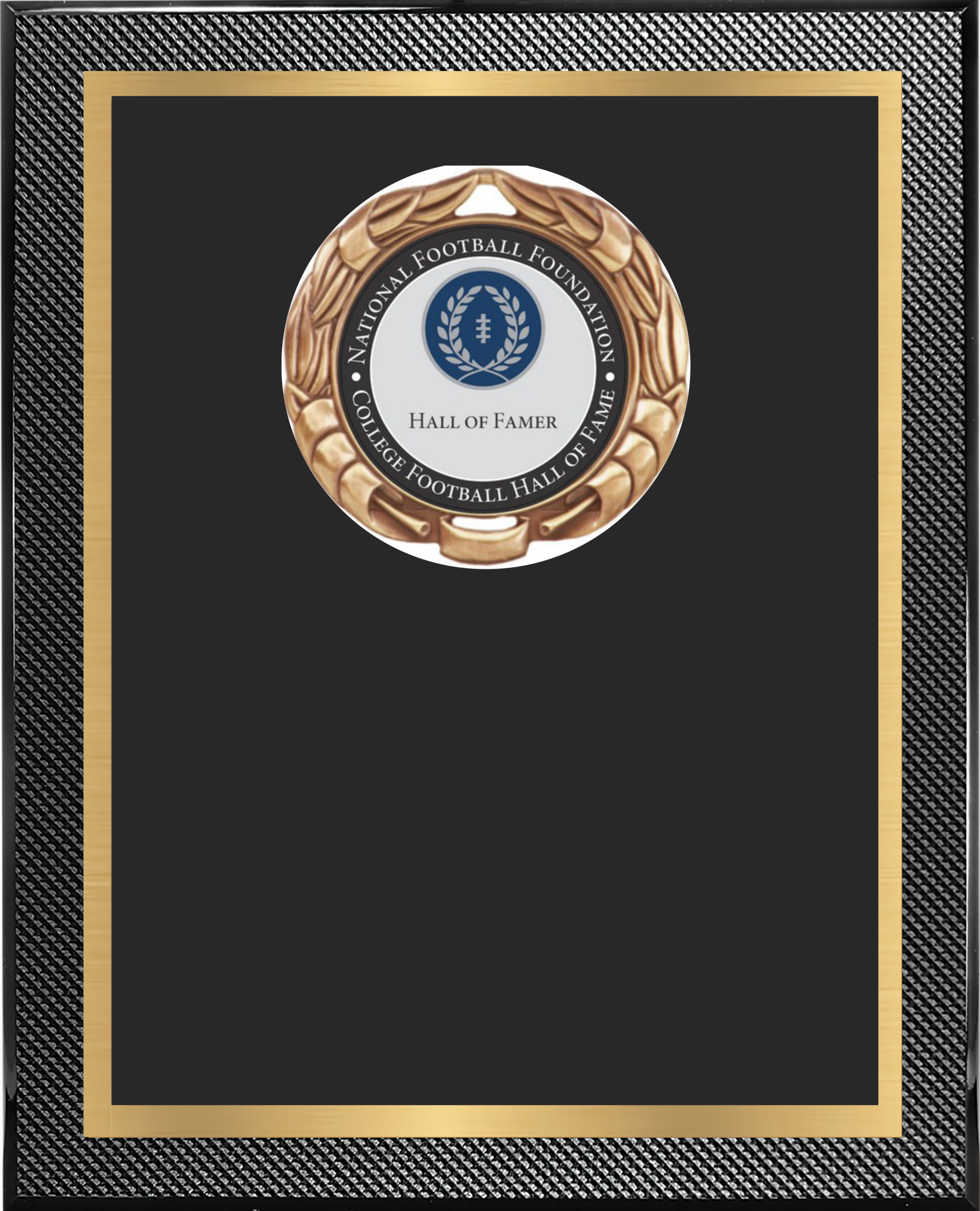Piano Carbon Fiber Plaque w/Medallion Over Double Plate 12