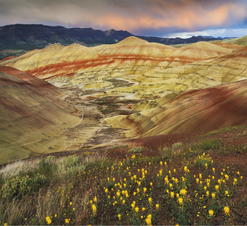 Good Value™ Landscapes of America - Mini Calendar 3