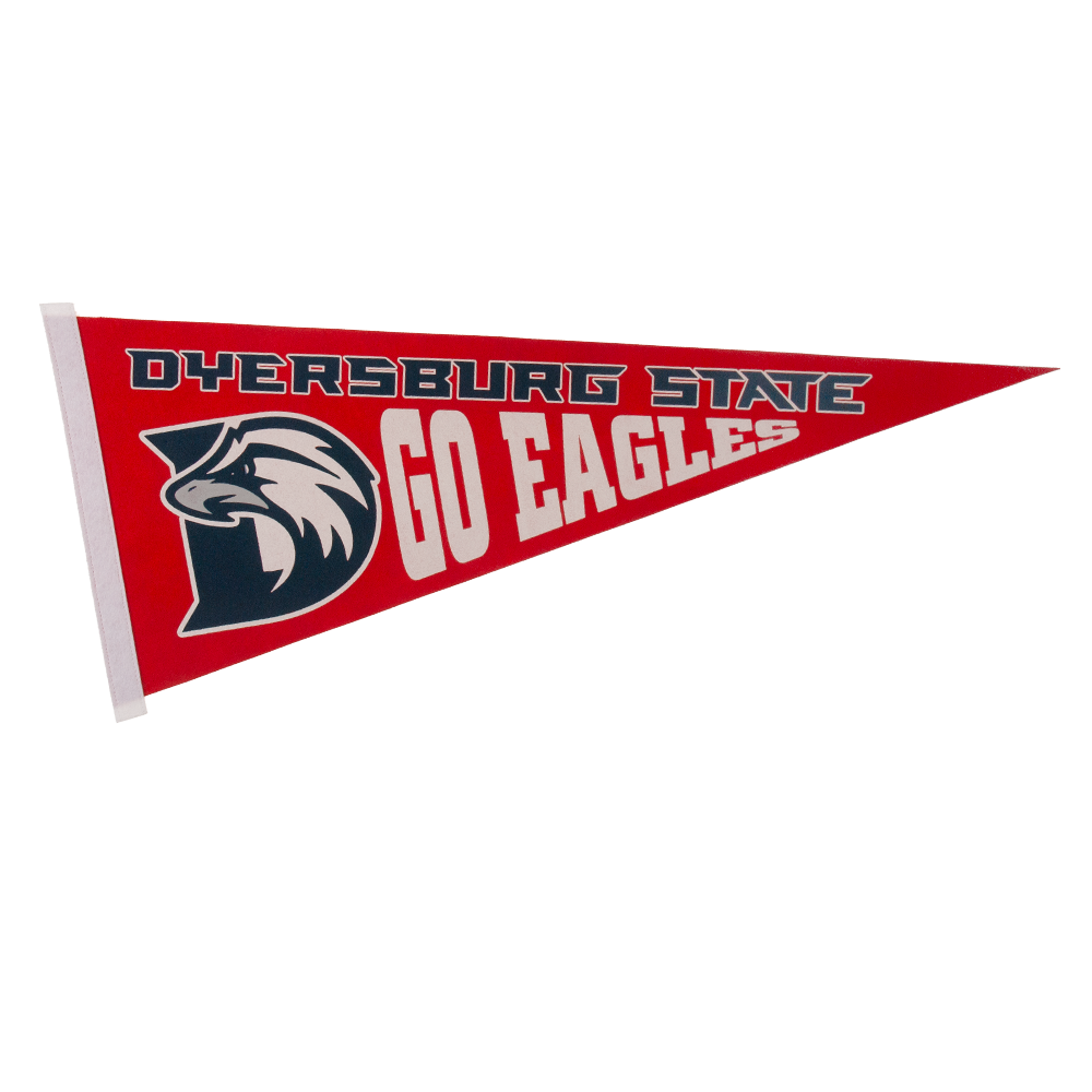 12" x 30" Colored Felt Pennant 8