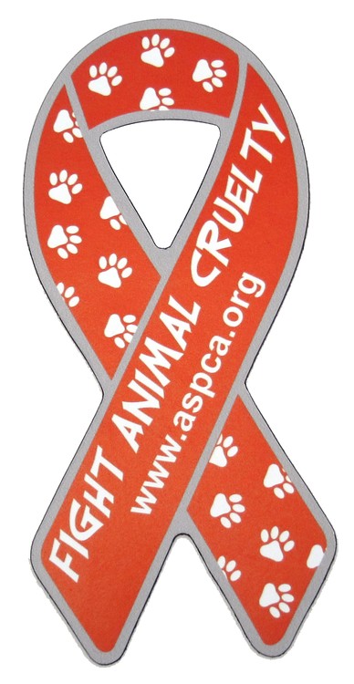 4" Awareness Ribbon Magnet - Small