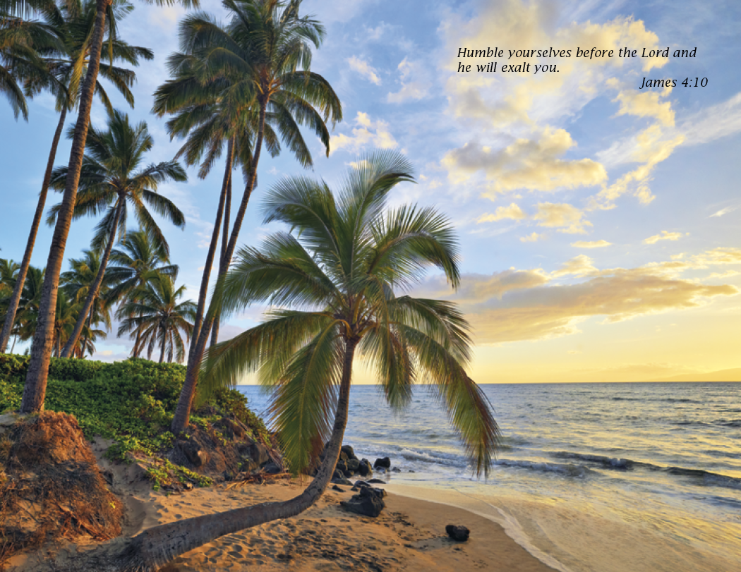 Triumph® Calendars Catholic Scenic Calendar 28