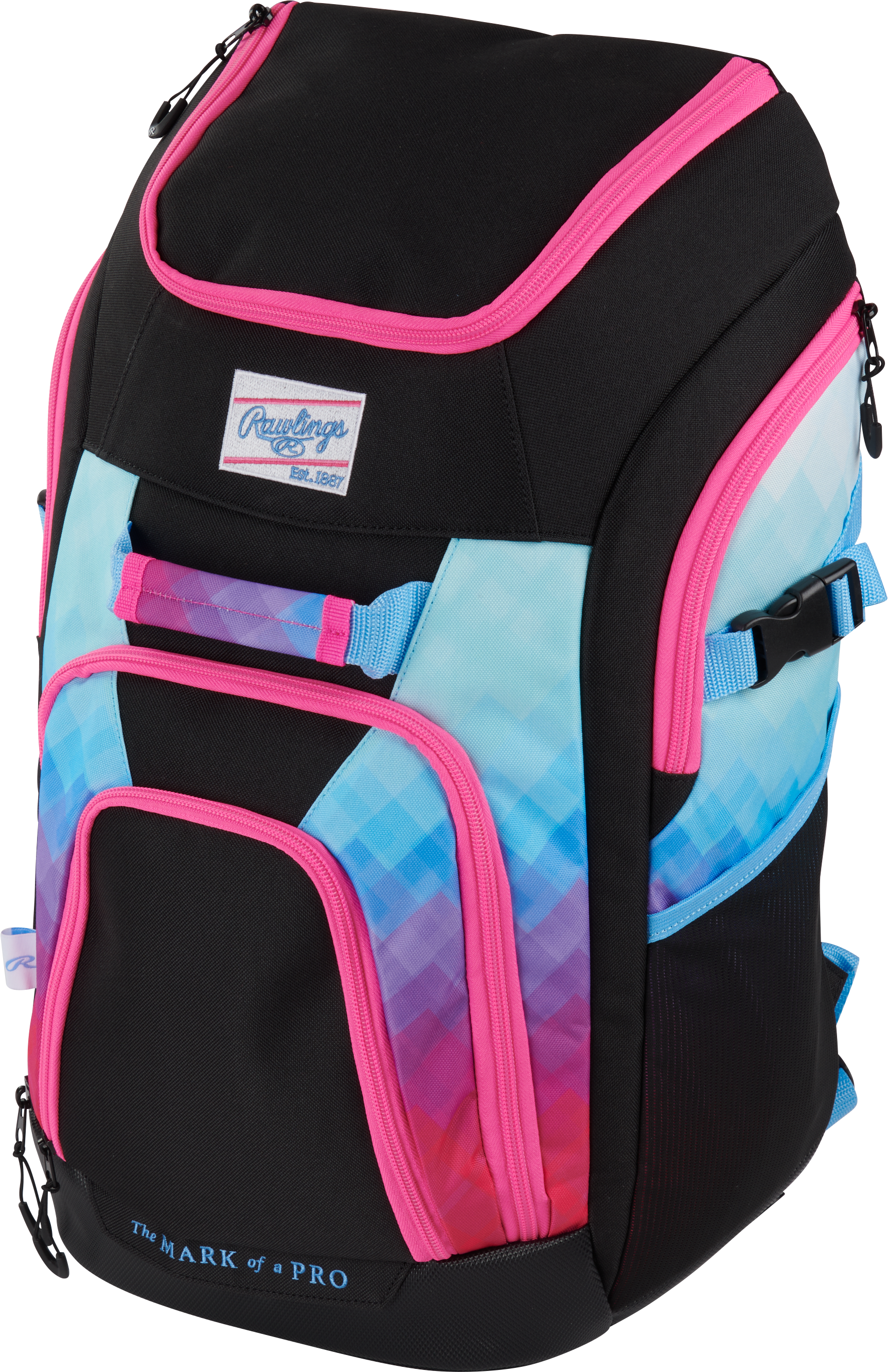 Rawlings Franchise 2 Bag 6
