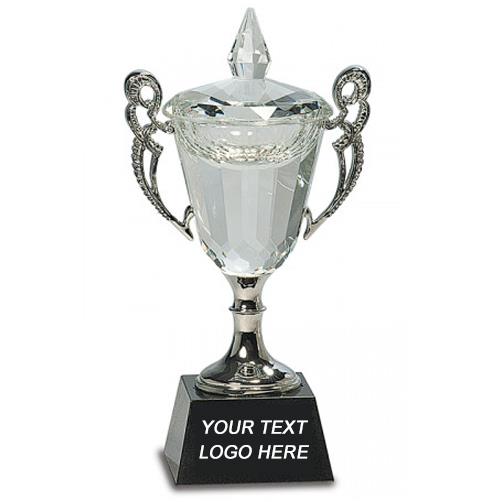 Crystal Cup: 8" w/Silver handles and stem 2