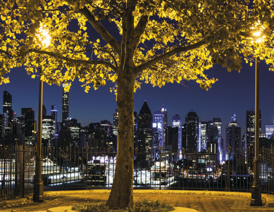 HotLine® Products New York Appointment Calendar - Stapled 33