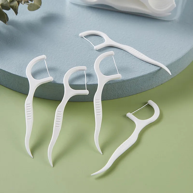 10 Pcs Dental Floss Kit 5