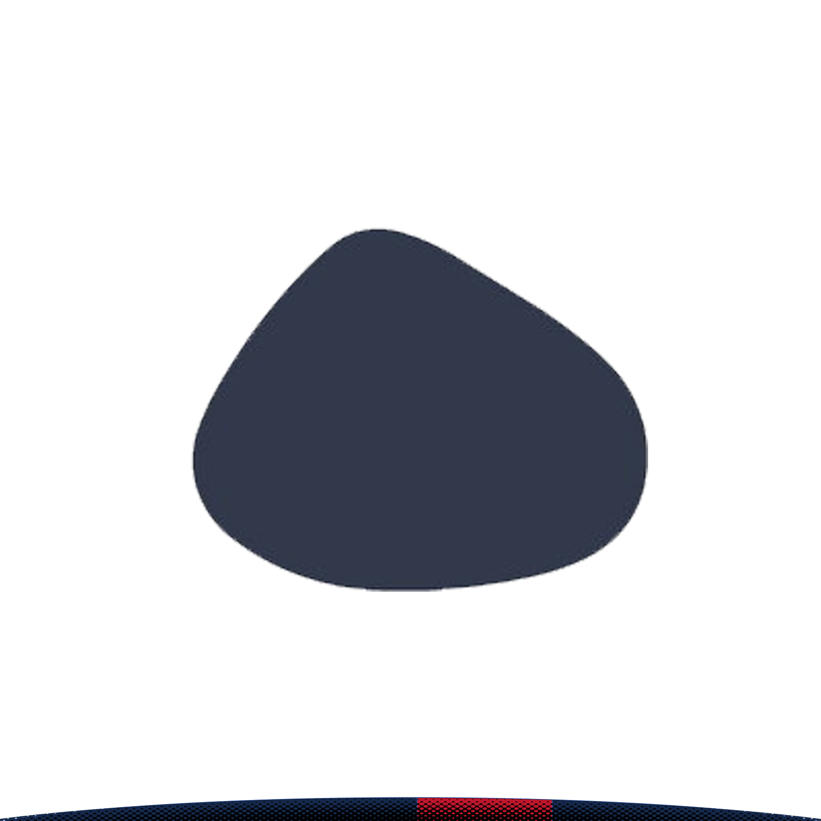 Kernel PVC Placemat 3