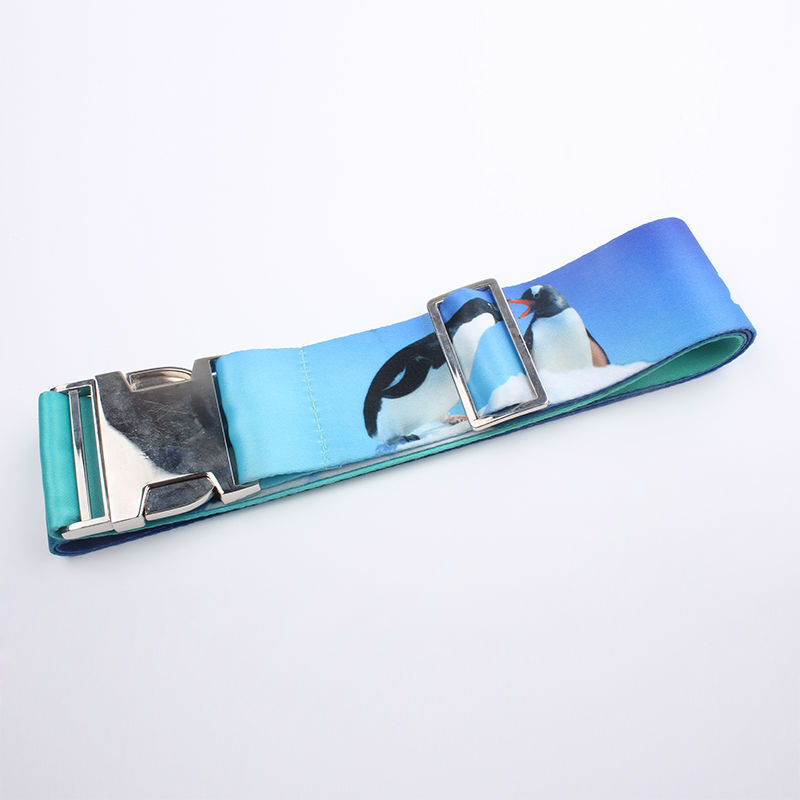 Luggage Strap with Metal Buckle 5