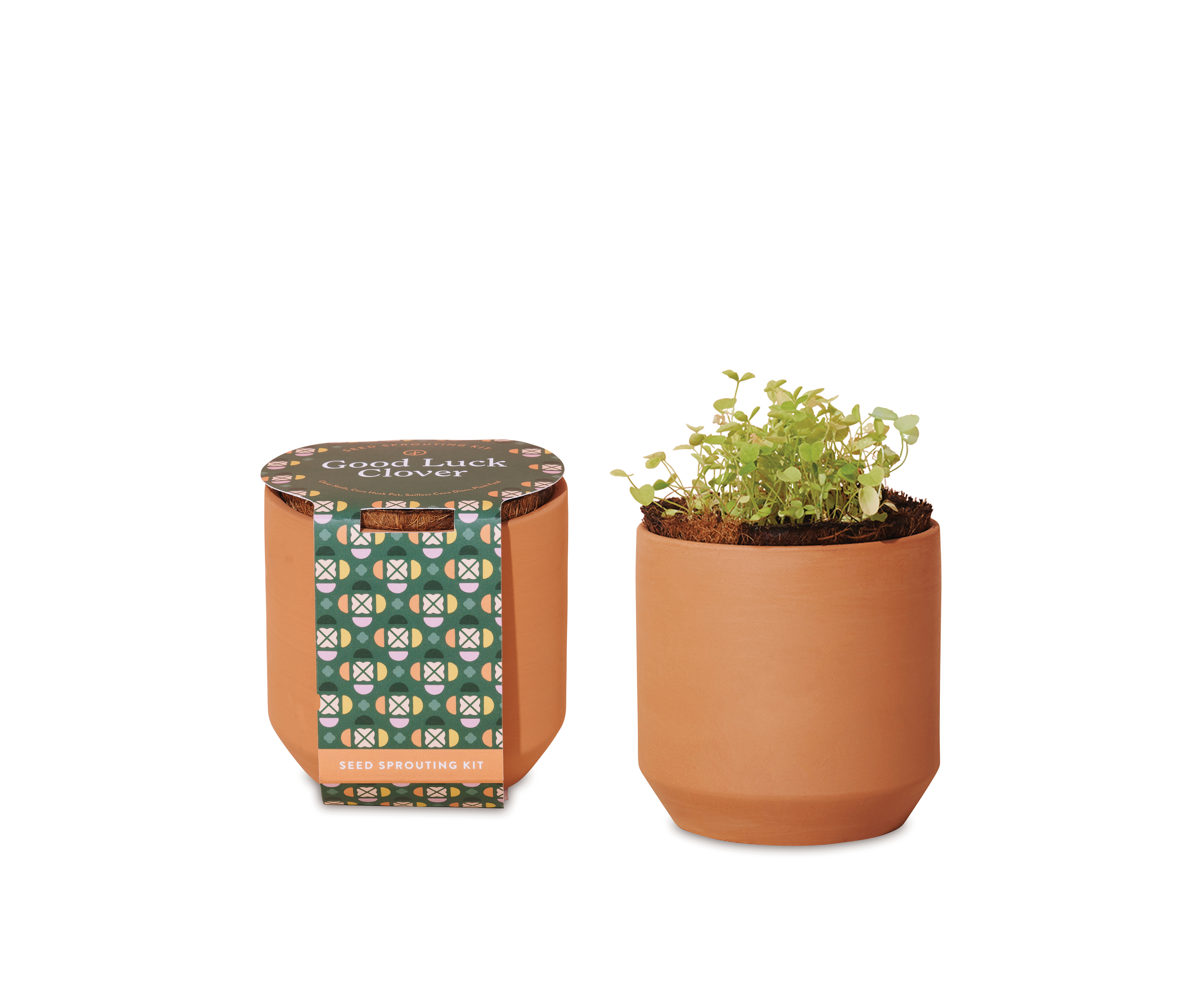 Modern Sprout® Tiny Terracotta Grow Kit Good Luck Clover