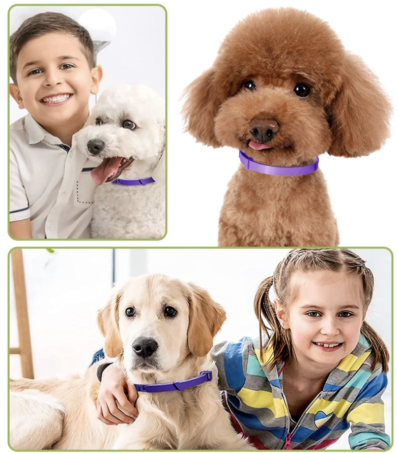 Calming Collar for Dog 2