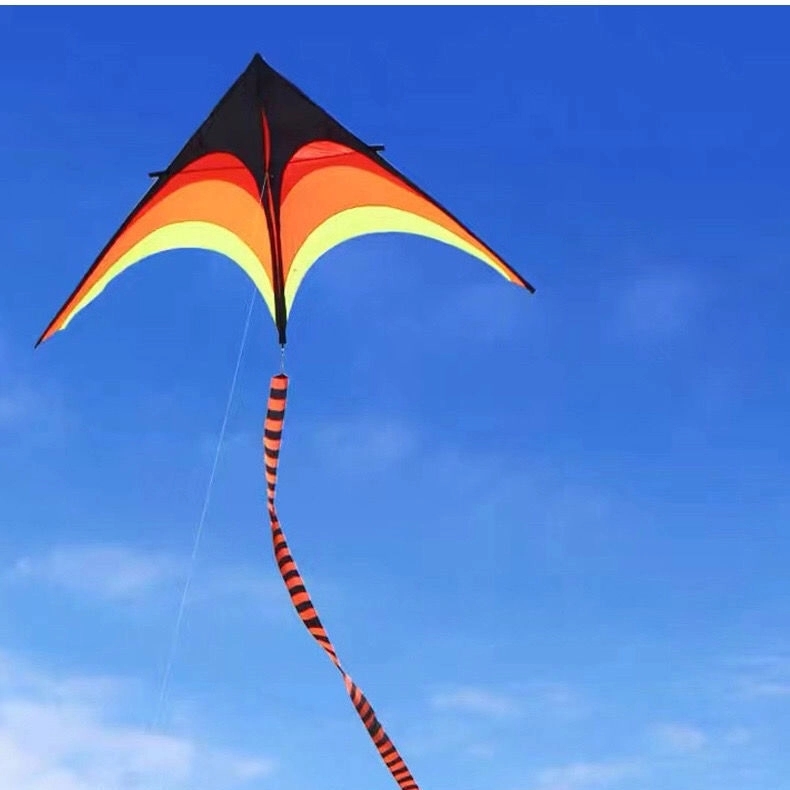 Grand Delta Dancer Kite 8