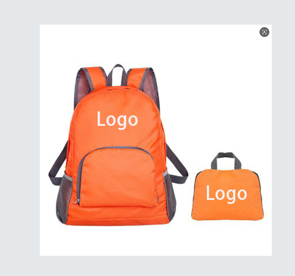 Backpack 1
