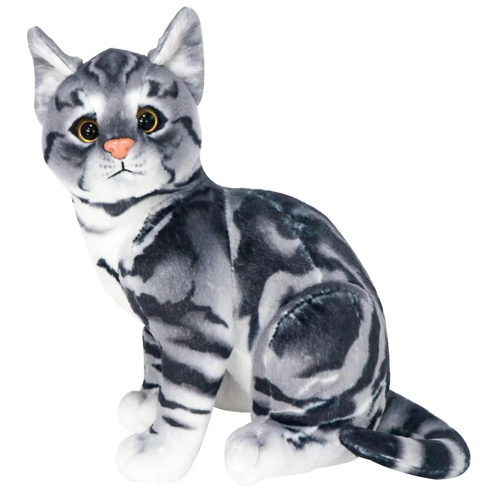 Looking Cats 3
