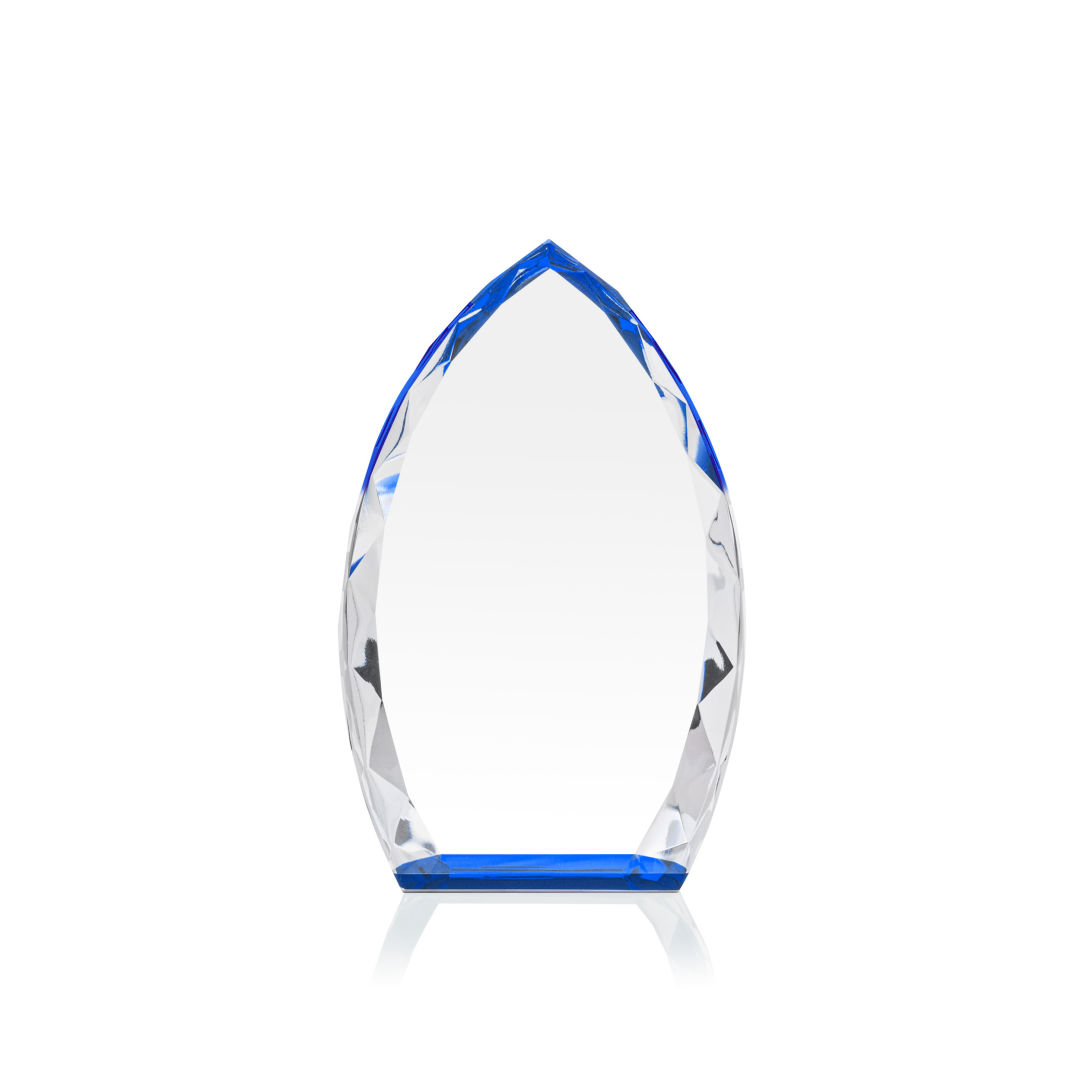 Wilton Award - Blue 3