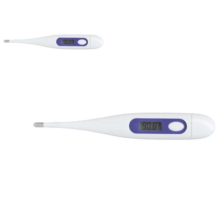 Basic Digital Thermometer 2