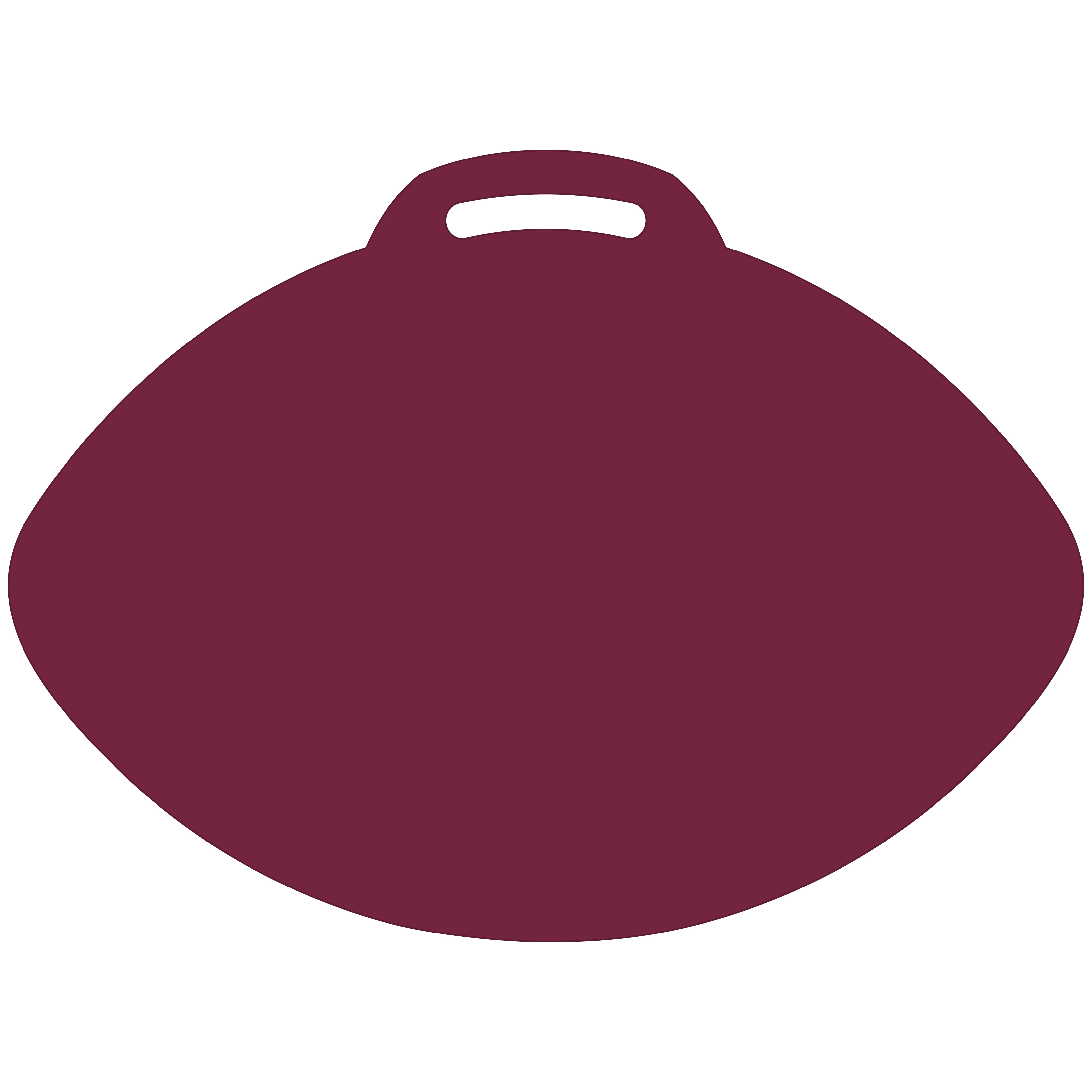Football-Shaped Vinyl Stadium Cushion (18") 14