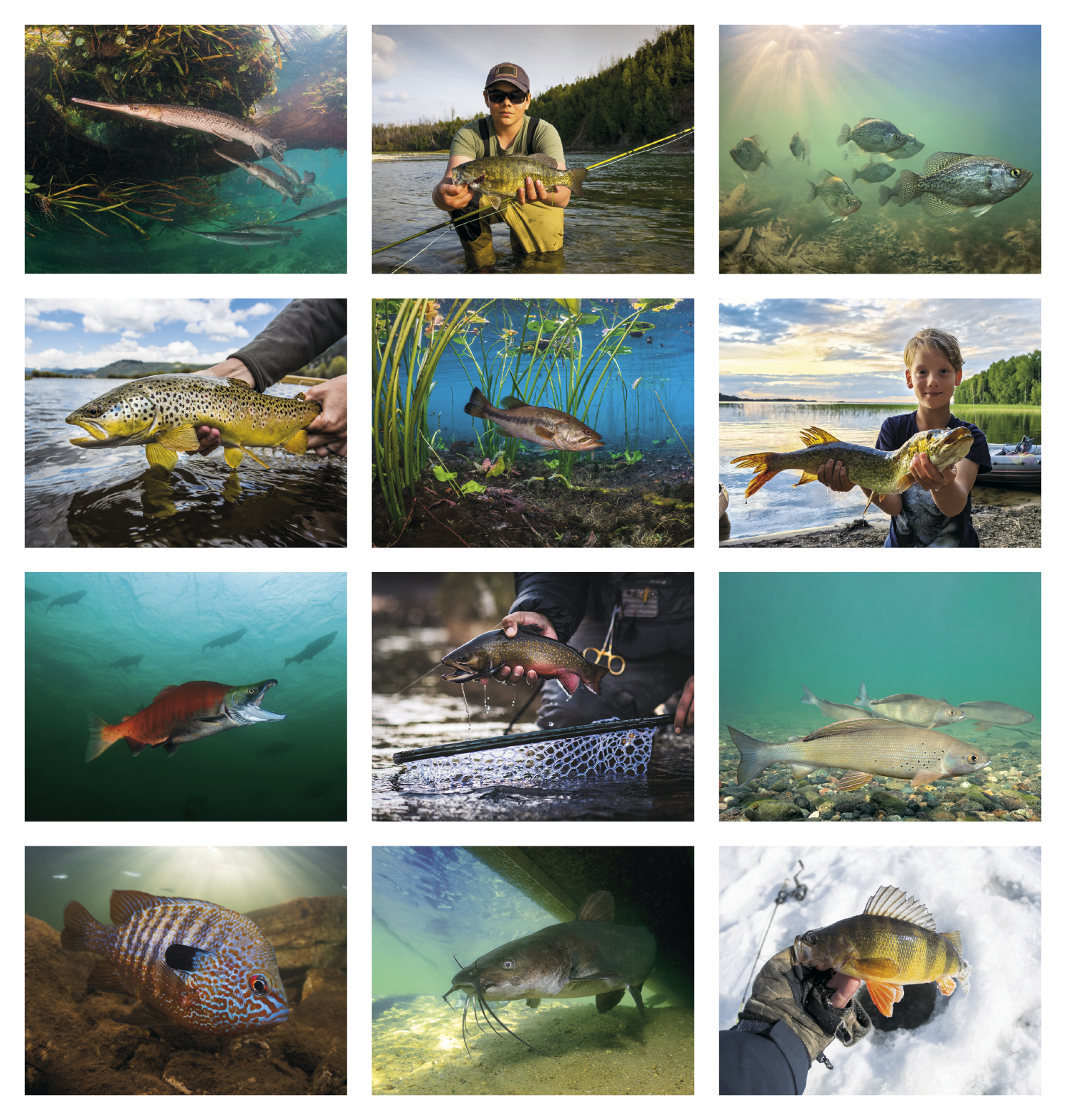 Good Value™ Fishing - Stapled Calendar 63