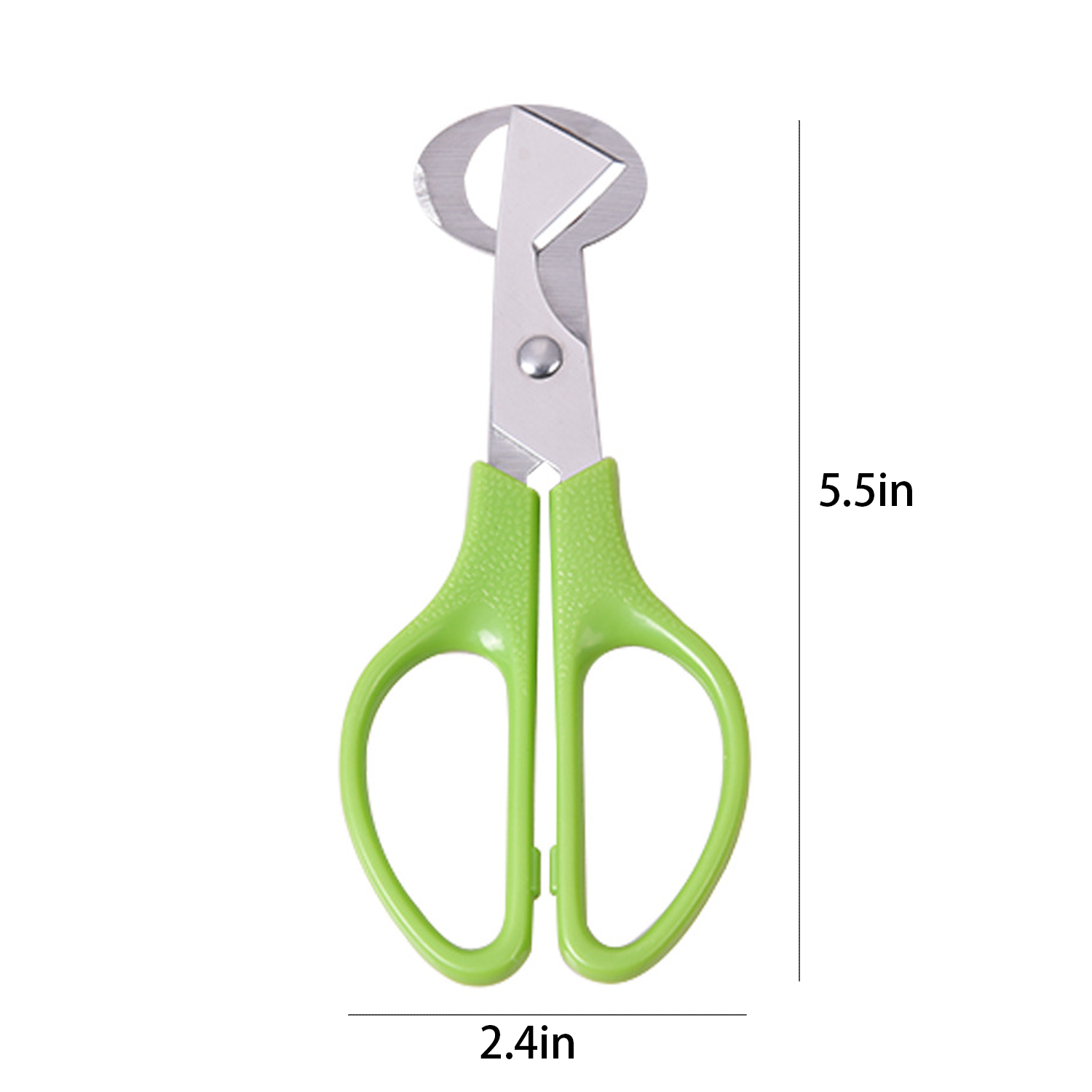 Stainless Steel Scissors for Quail Egg 2