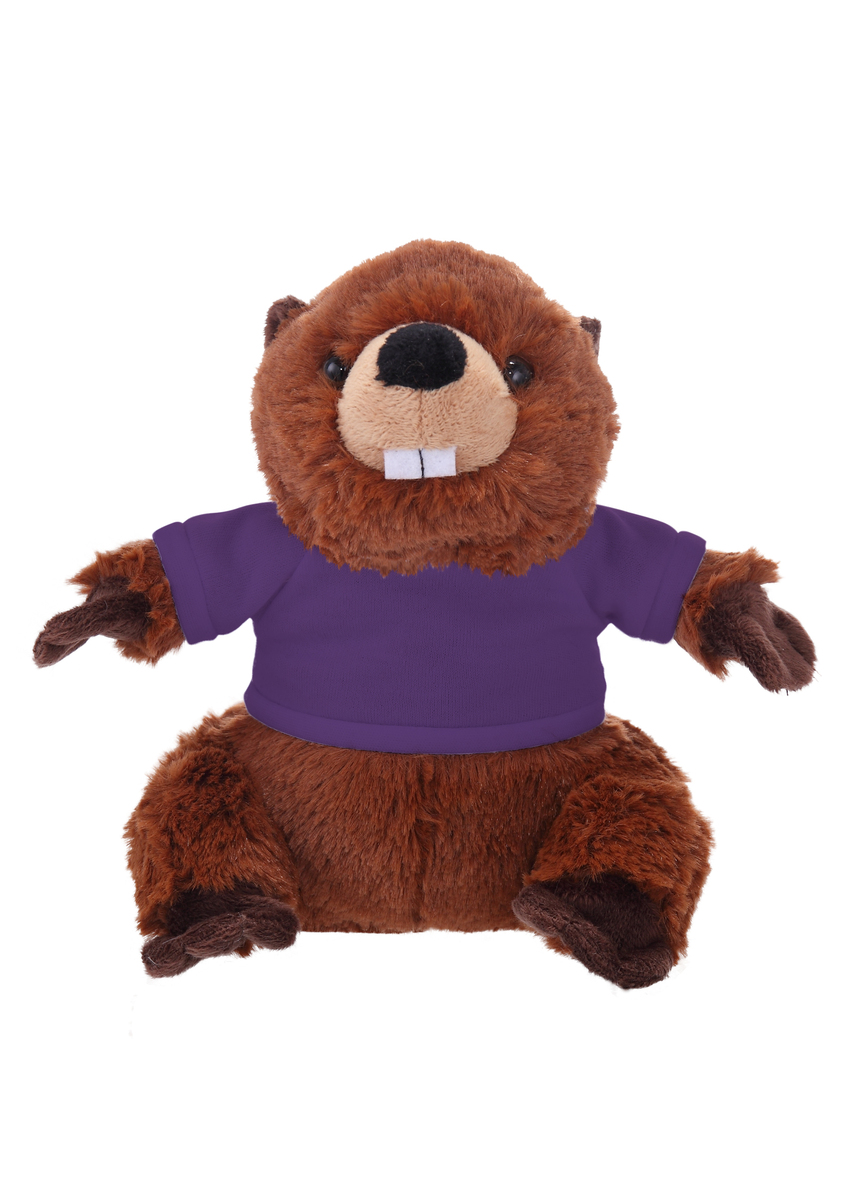 Soft Plush Sitting Beaver wearing a T-Shirt 11