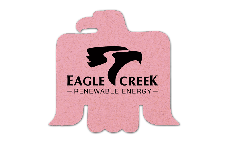 Eagle Compressed Sponge 11