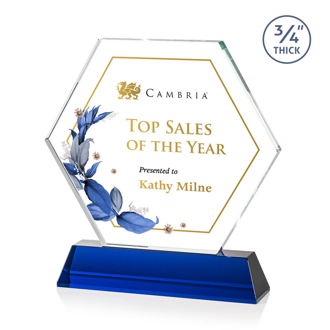 Ralston VividPrint™ Award - Blue 7