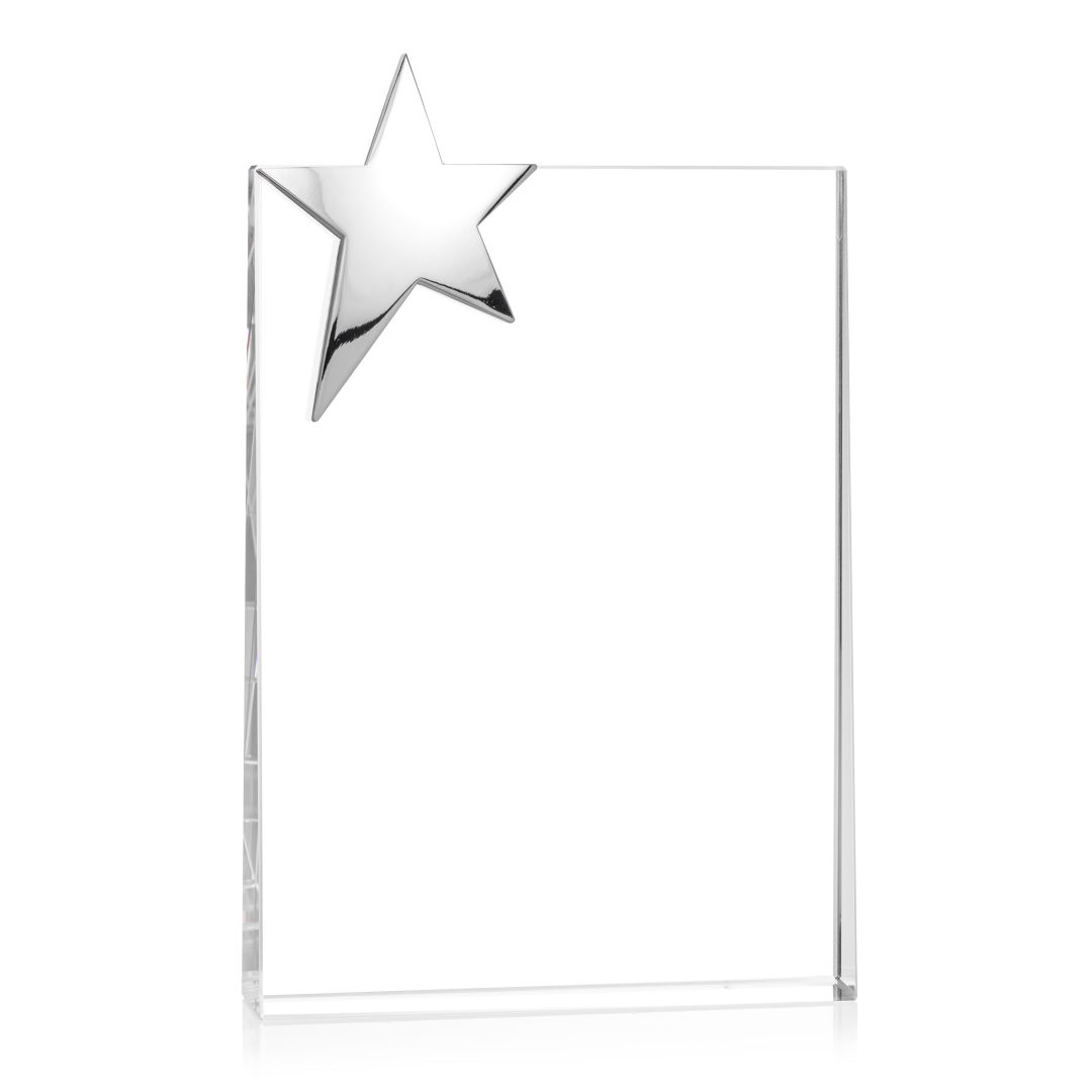 Denham Star Award - Silver 8