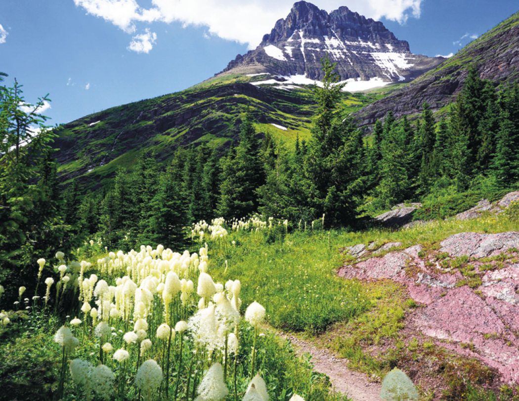 Good Value™ Rocky Mountains - Spiral Calendar 25