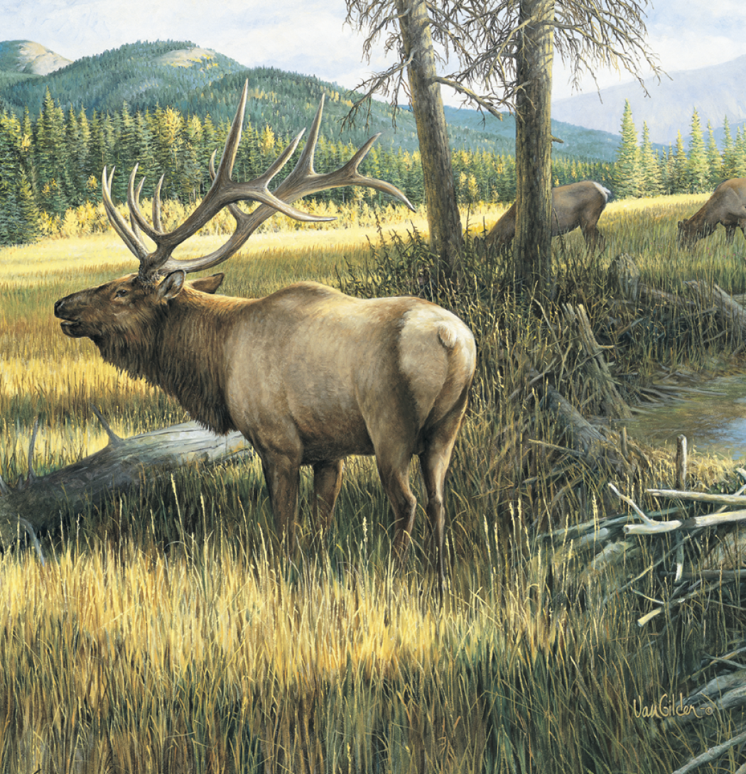 Triumph® Calendars Wildlife Art Calendar 37