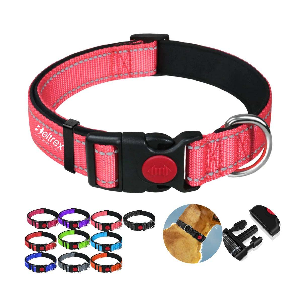 Adjustable Dog Collar with Reflective Strips 3