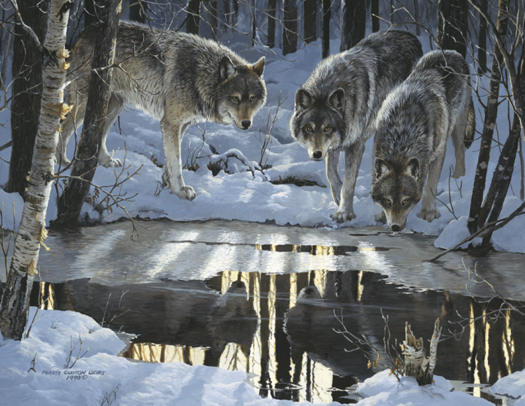 HotLine® Products Wildlife Collection Appointment Calendar - Stapled 20