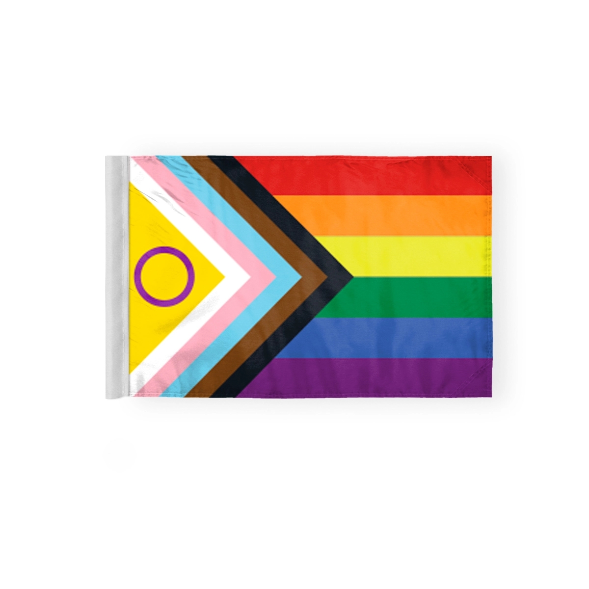 6''x9'' 2ply wPoly Intersex Progressive Pride MotorcycleFlag 1