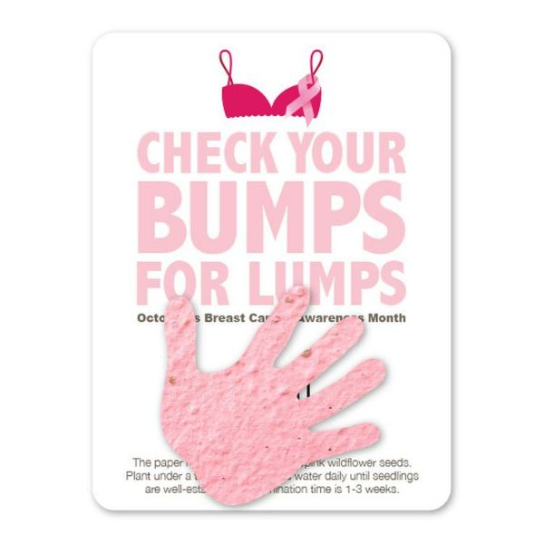 Mini-Gift Pack 12