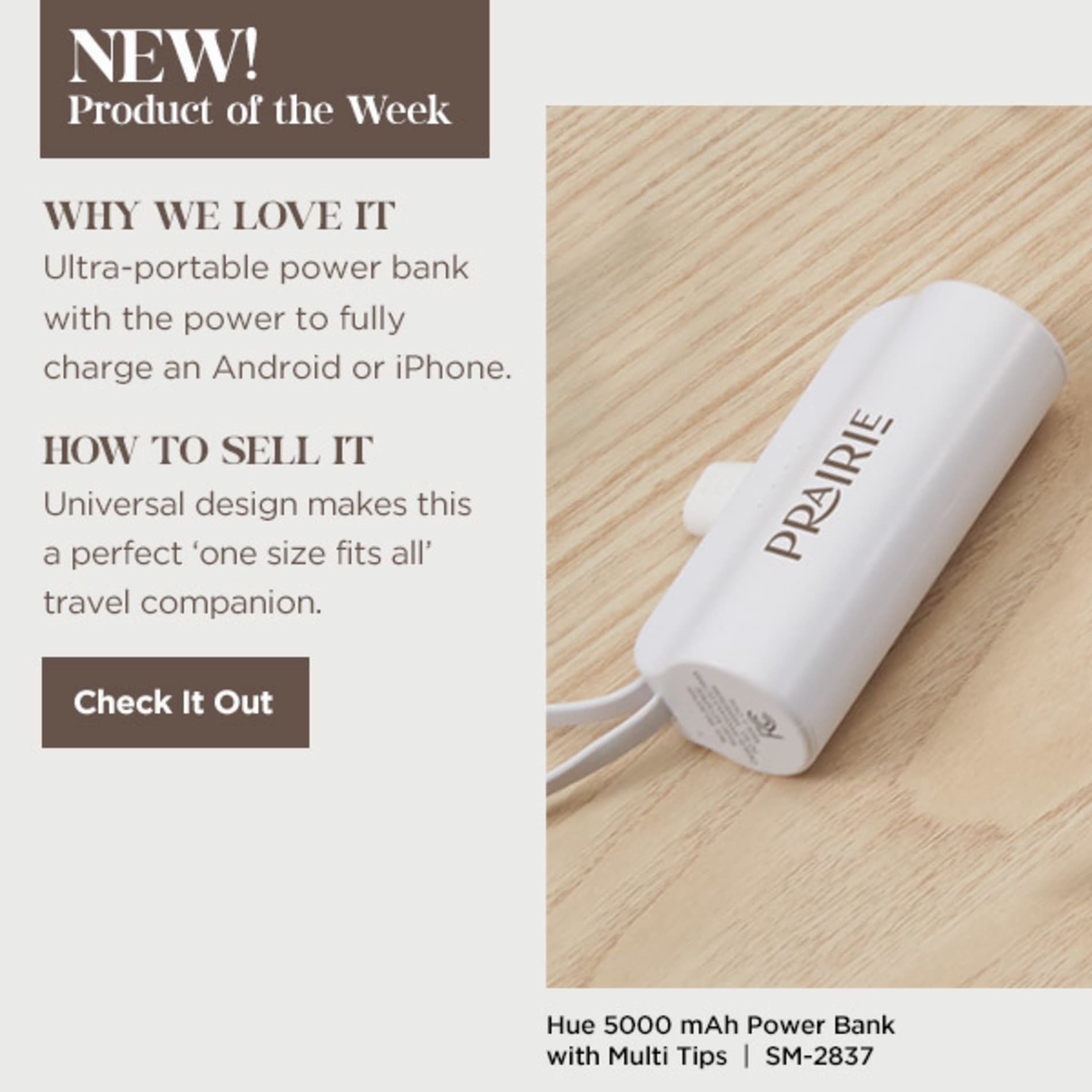 Hue 5000 mAh Power Bank with Multi Tips 155