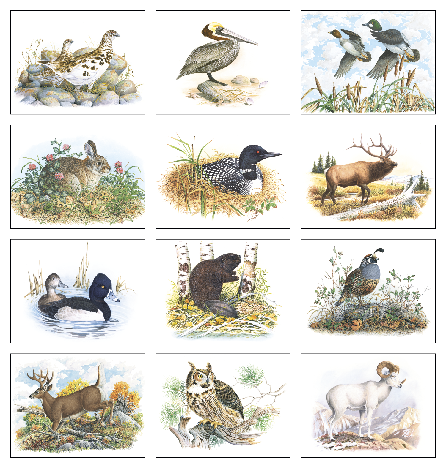 Good Value™ Wildlife Trek - Stapled Calendar 31