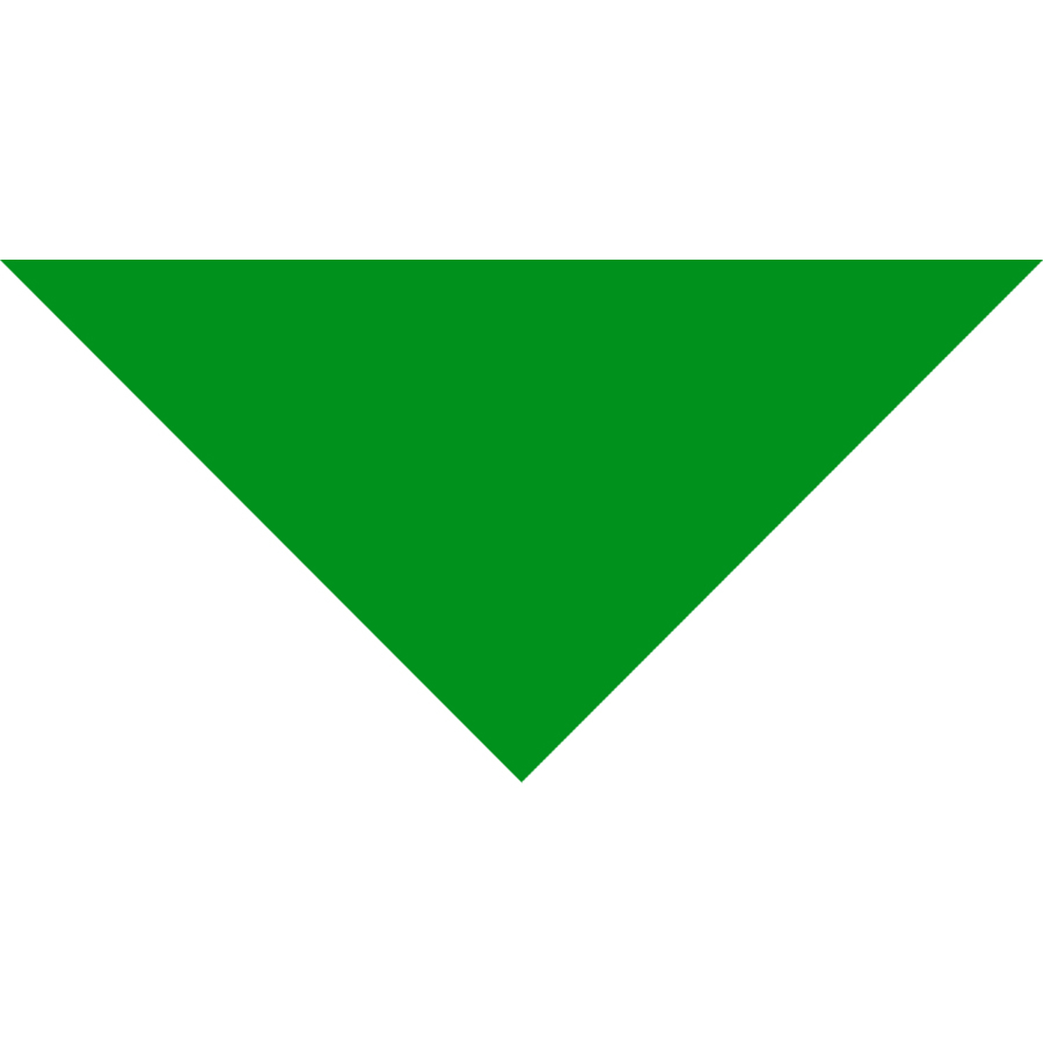 Domestic Pet Bandanna 43